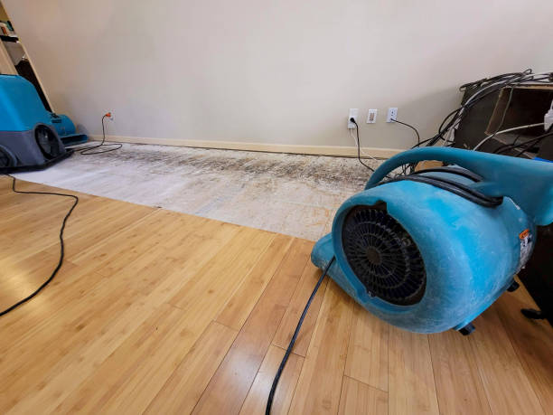 Professional Water Removal technician working in Dunlap, IN